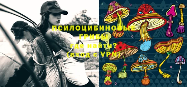 apvp Беломорск